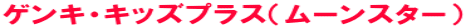 �Q���L�E�L�b�Y�v���X�i���[���X�^�[�j 