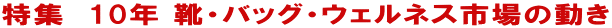 ���W�@10�N �C�E�o�b�O�E�E�F���l�X�s��̓��� 