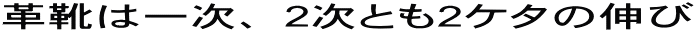 �v�C�͈ꎟ�A2���Ƃ�2�P�^�̐L��
