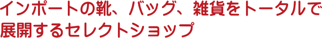 �C���|�[�g�̌C�A�o�b�O�A�G�݂��g�[�^���œW�J����Z���N�g�V���b�v