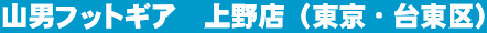 �R�j�t�b�g�M�A�@���X�i�����E�䓌��j