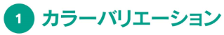 �P�D�J���[�o���G�[�V����