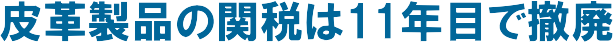 ��v���i�̊֐ł�11�N�ڂœP�p