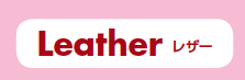 Leather�@���U�[