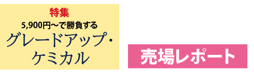 ���W�@�O���[�h�A�b�v�E�P�~�J���@���ꃌ�|�[�g