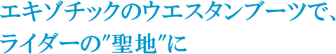 �G�L�]�`�b�N���U�[�u�[�c�̔̔��ŁA���C�_�[�̐��n��