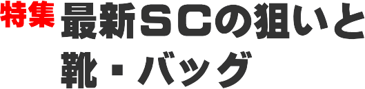 ���W �ŐVSC�̑_���ƌC�E�o�b�O