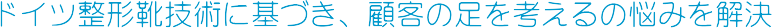 �h�C�c���`�C�Z�p�Ɋ�Â��A�ڋq�̑����l����̔Y�݂�����