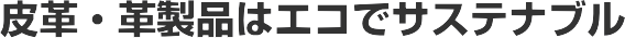 ��v�E�v���i�̓G�R�ŃT�X�e�i�u��
